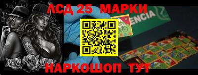 гашик Кудрово