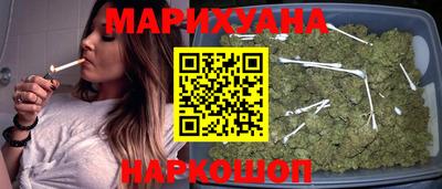 гашик Кудрово