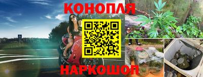 дживик Кудымкар