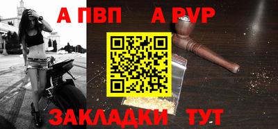 гашик Кудрово