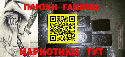 гашик Кудрово