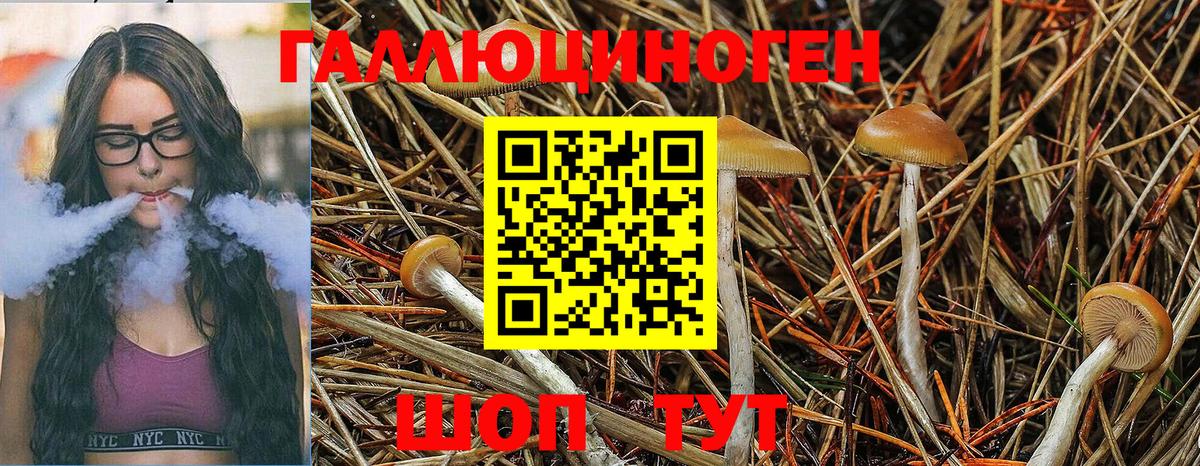 как найти   Вход с VPN  Азнакаево  Галлюциногенные грибы MAGIC MUSHROOMS 